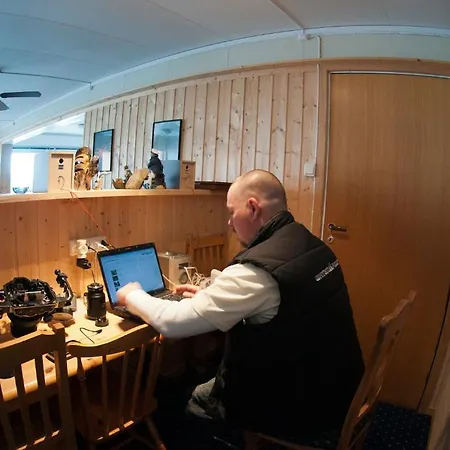 Gulen Dive Dalsøyra