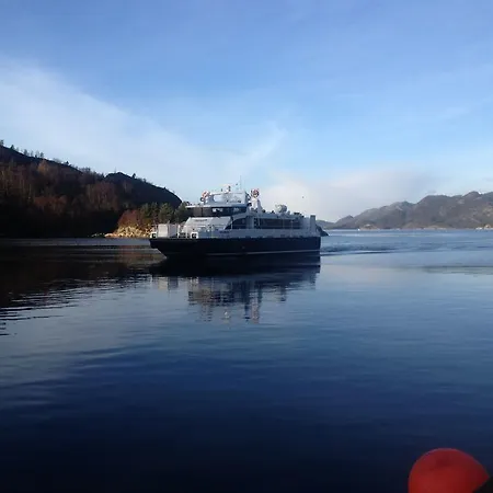 Gulen Dive * Dalsøyra