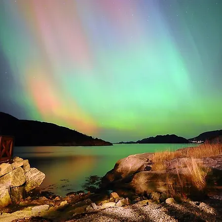 Vandrerhjem Gulen Dive