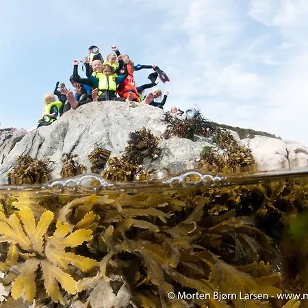 Gulen Dive Vandrerhjem