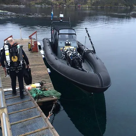 Gulen Dive Vandrerhjem