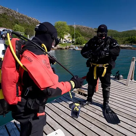 Gulen Dive Vandrerhjem