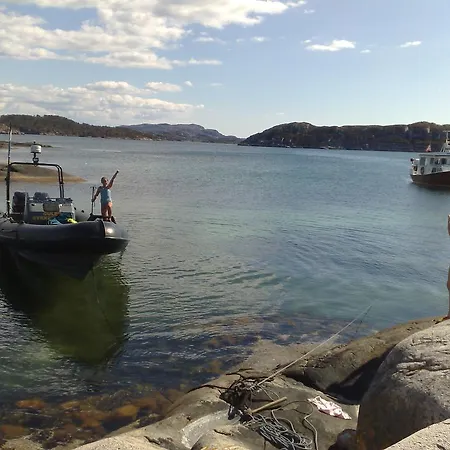 Gulen Dive Dalsøyra