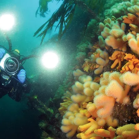 Hostel Gulen Dive Dalsøyra